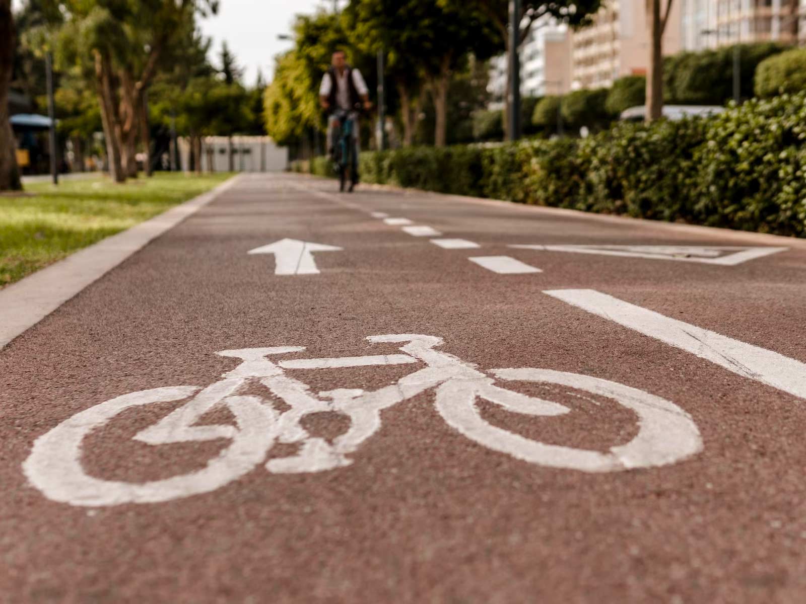pista ciclabile