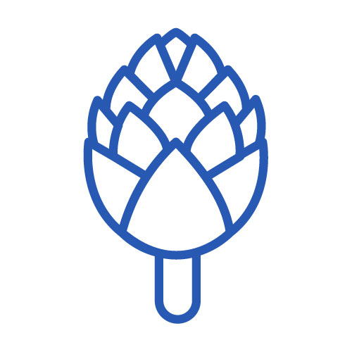 carciofo
